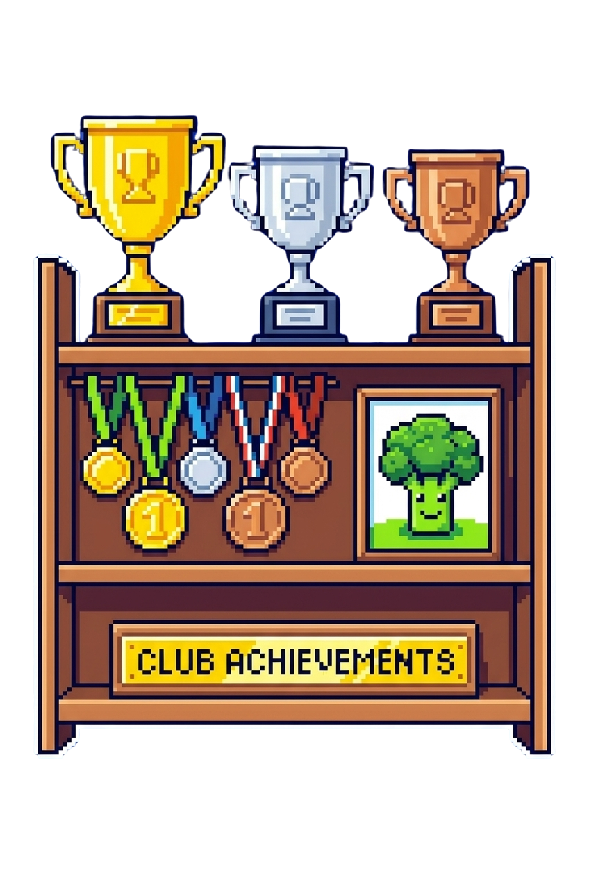 A shelf of trophies, medals and a certificate — the club's achievements